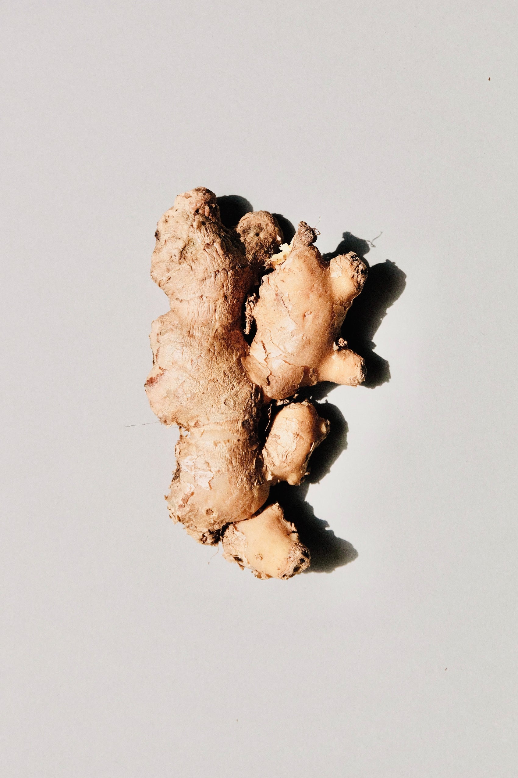 ginger root on a grey background